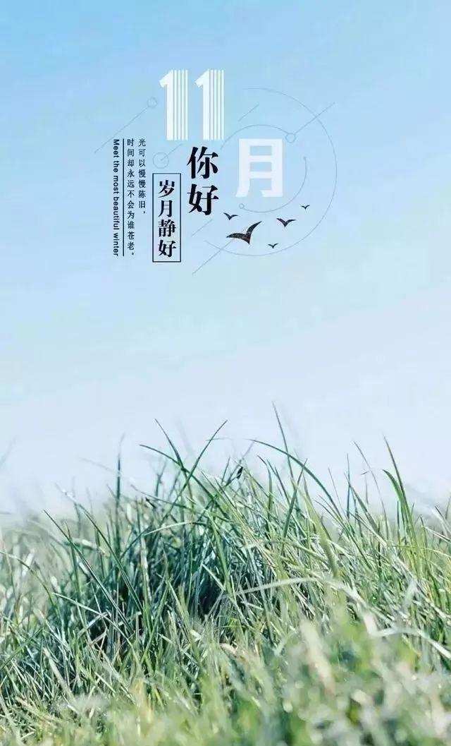 你好，11月