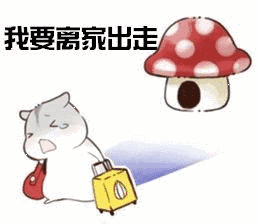 走了
