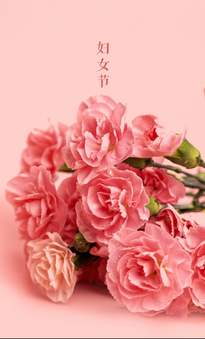 女神们节日快樂