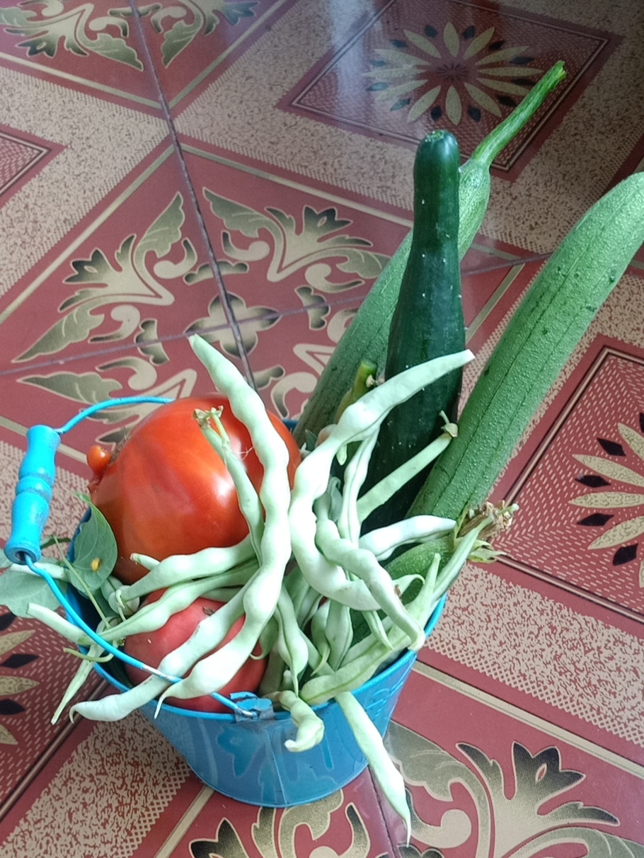 喂蚊子的小收获