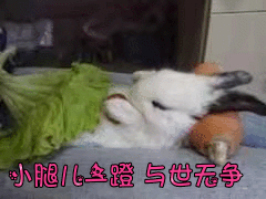 1+表白我的媳妇