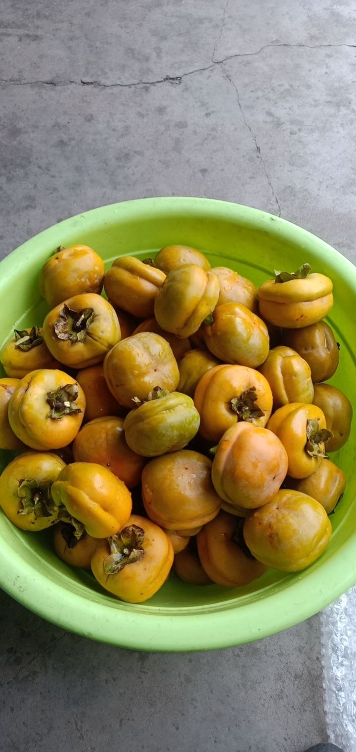 被迫营业的小妖精