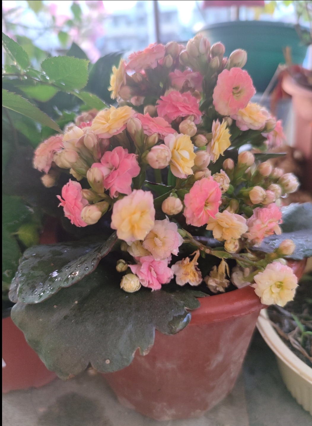 69+老流+我身边的好人