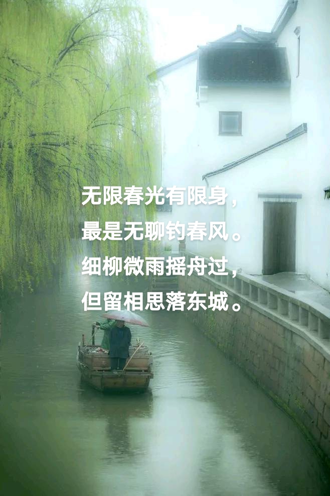 春雨