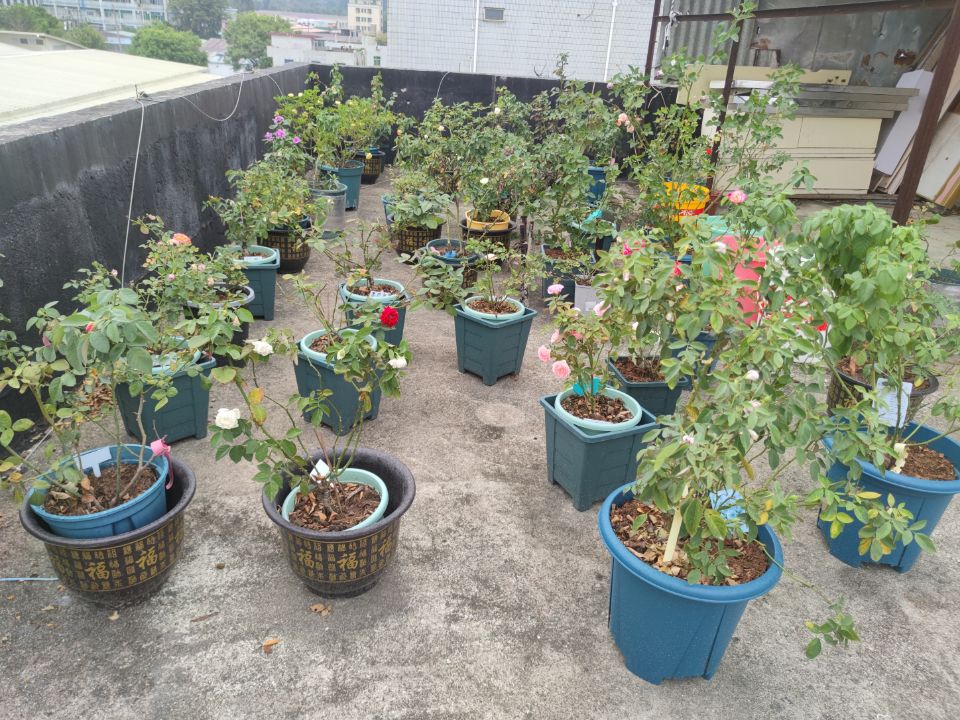 今晚可以睡个安稳觉了