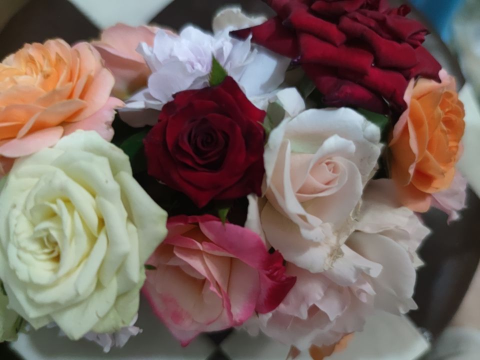 今晚可以睡个安稳觉了