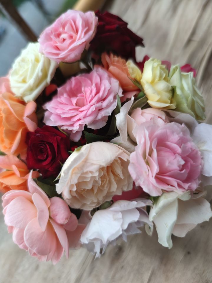 今晚可以睡个安稳觉了