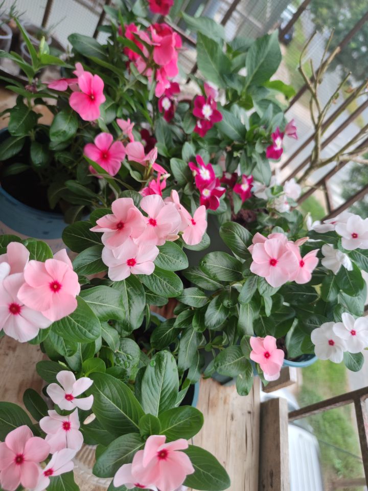 今晚可以睡个安稳觉了