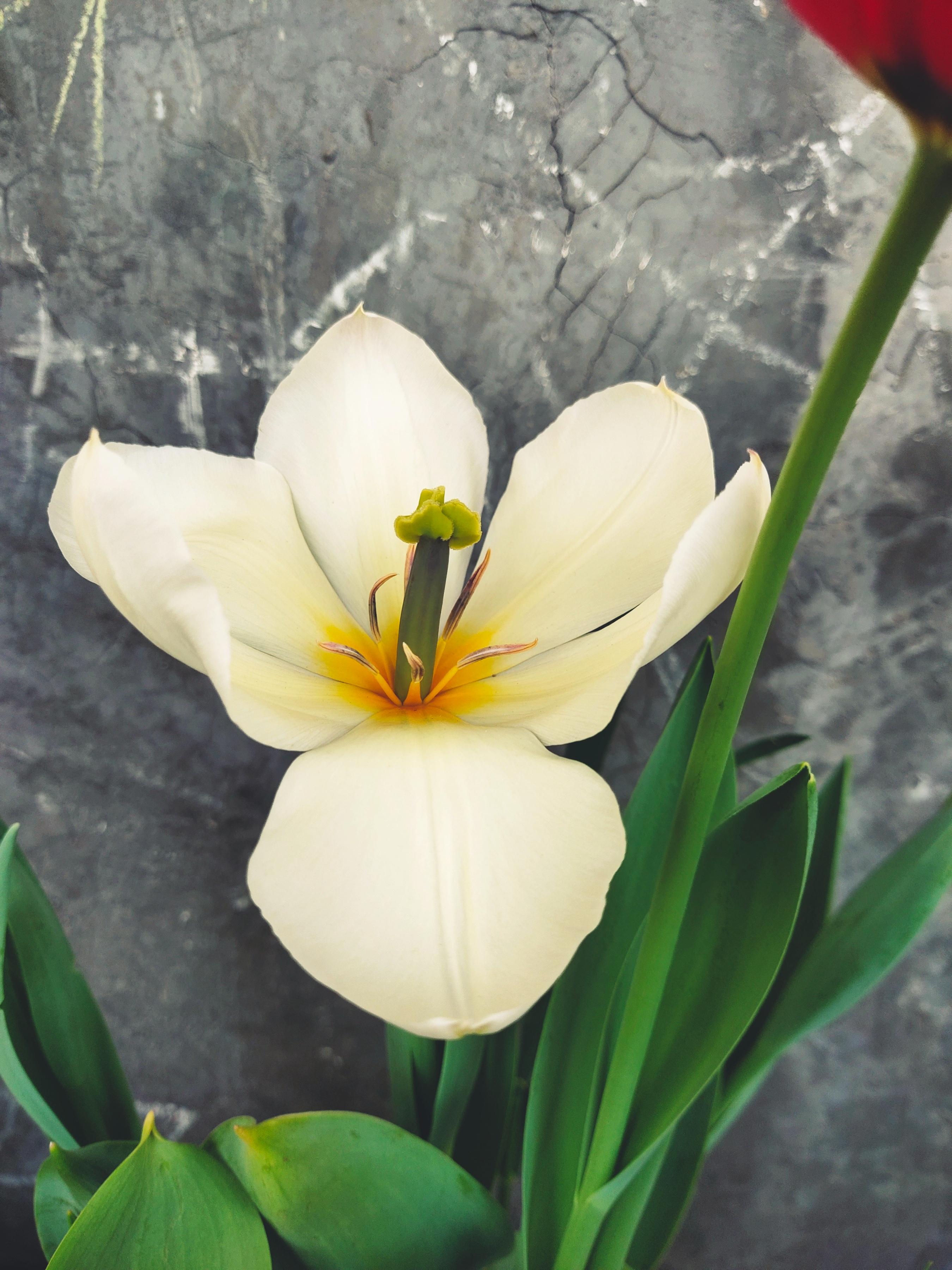 为什么不一样呢？