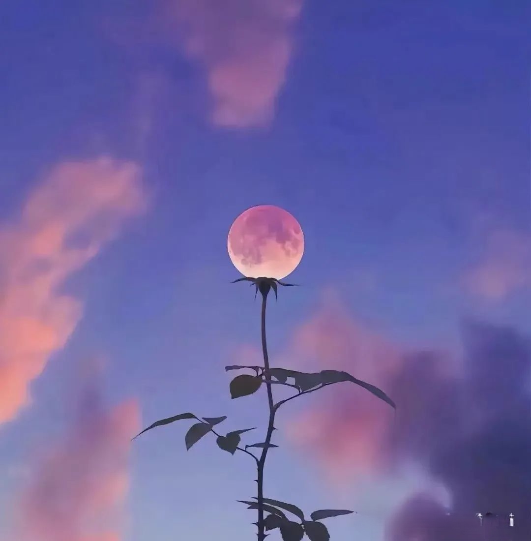 每逢佳节倍思亲