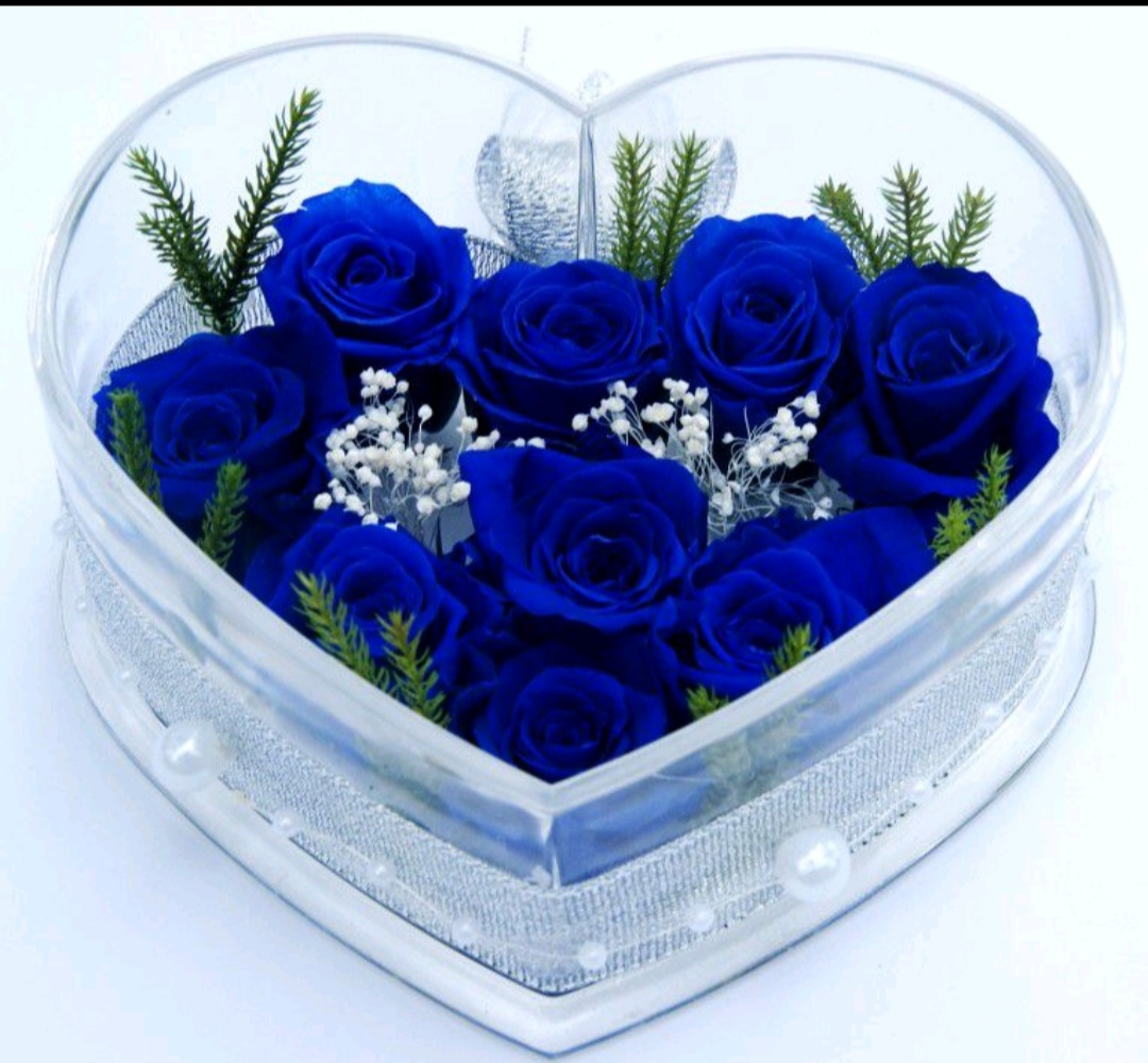 老凤凰生日快乐哈