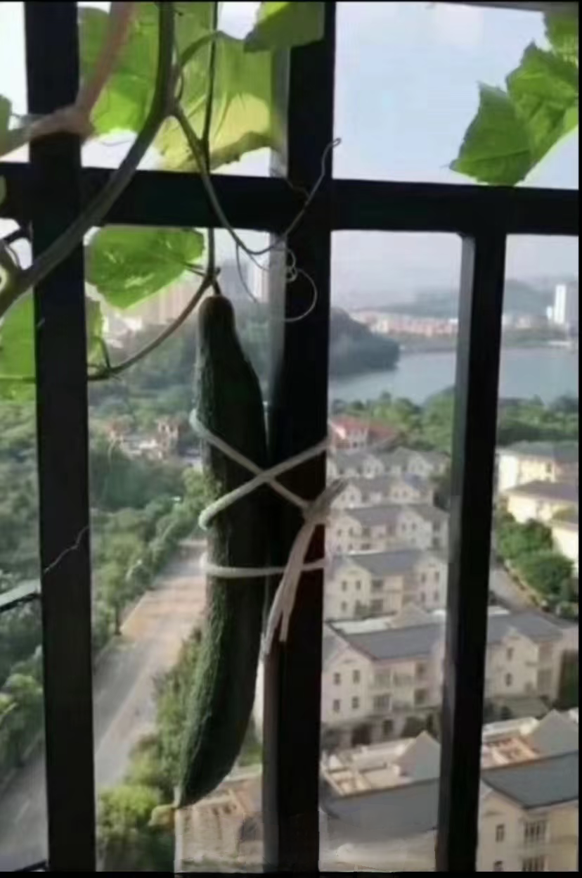 为台风做准备啦