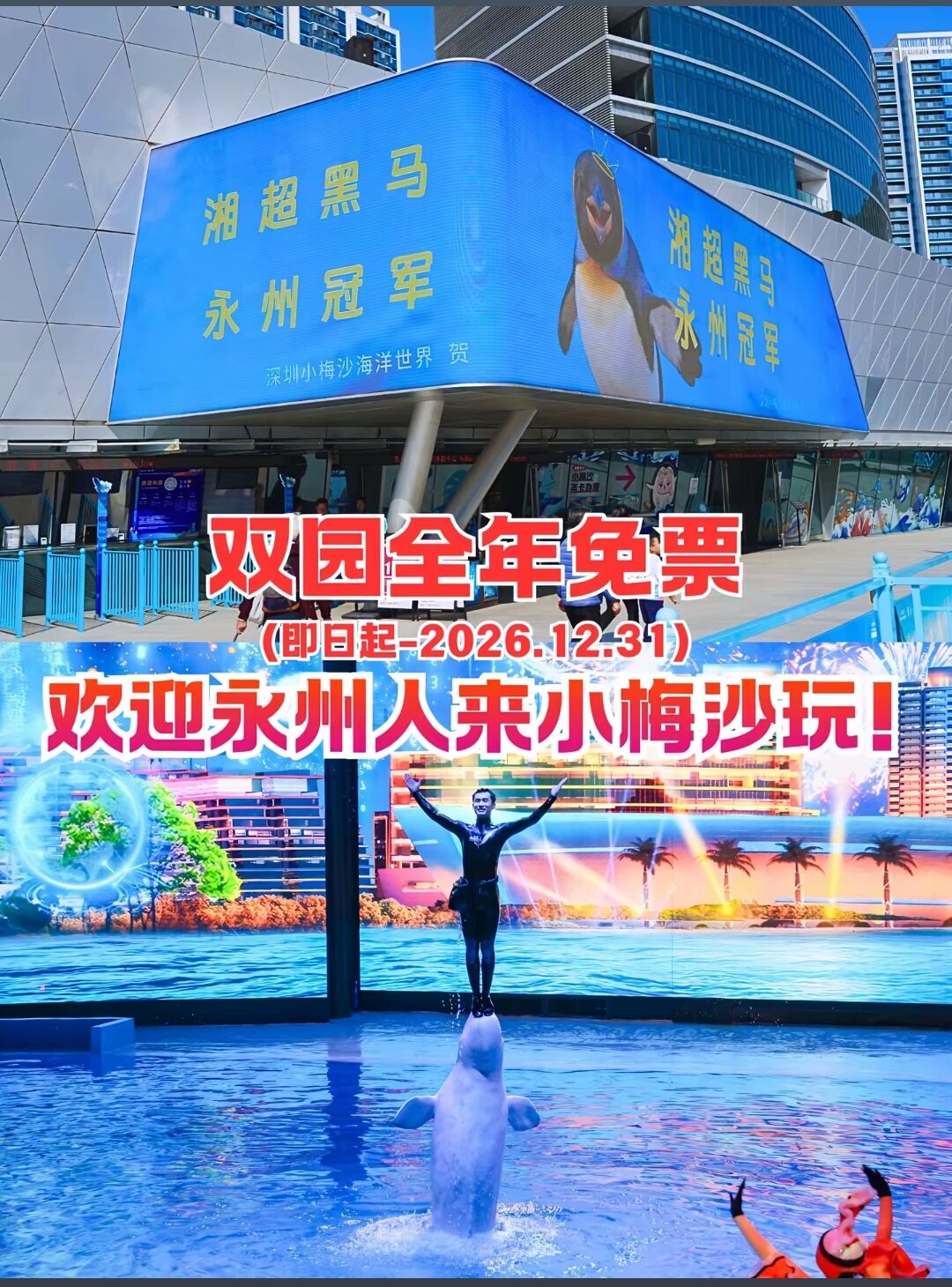 深圳向永州人出手了