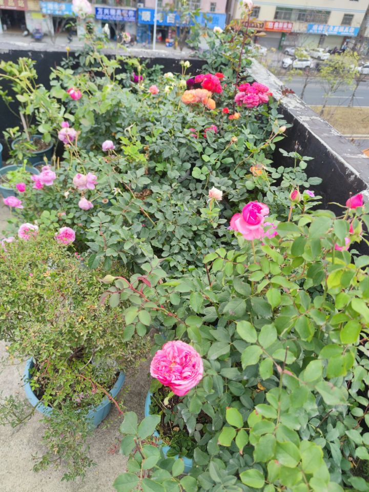 回家过年也头疼