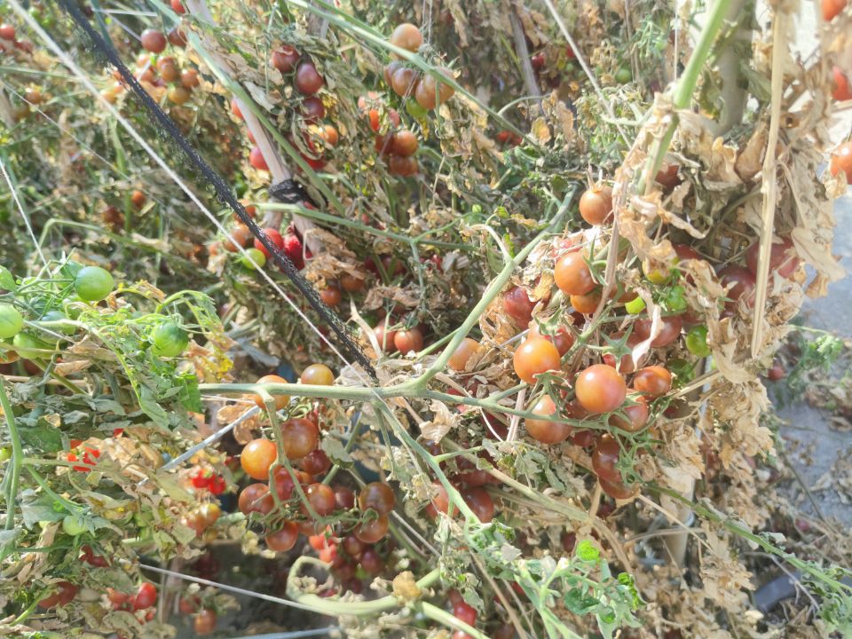 返深后的惊喜与惊吓