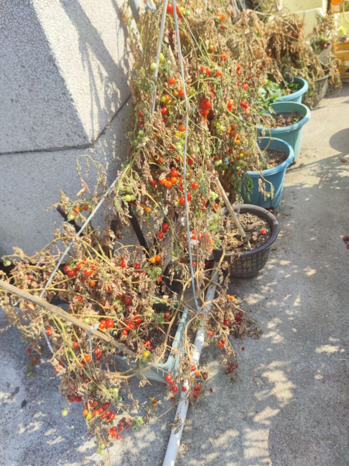 返深后的惊喜与惊吓