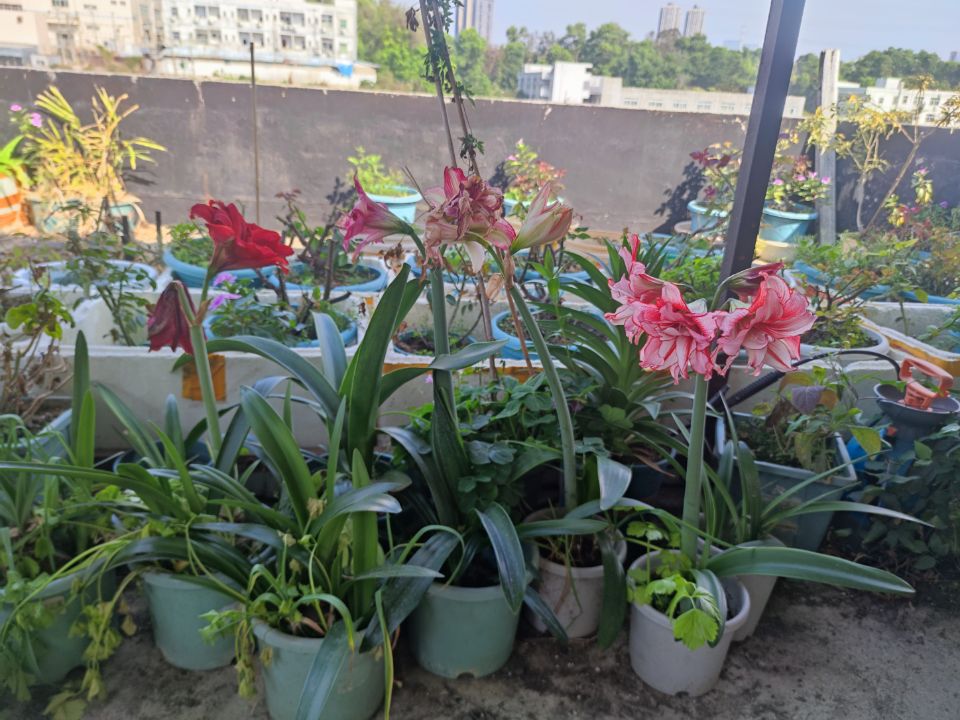 返深后的惊喜与惊吓