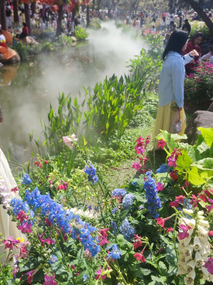 三八节瞎逛的一天