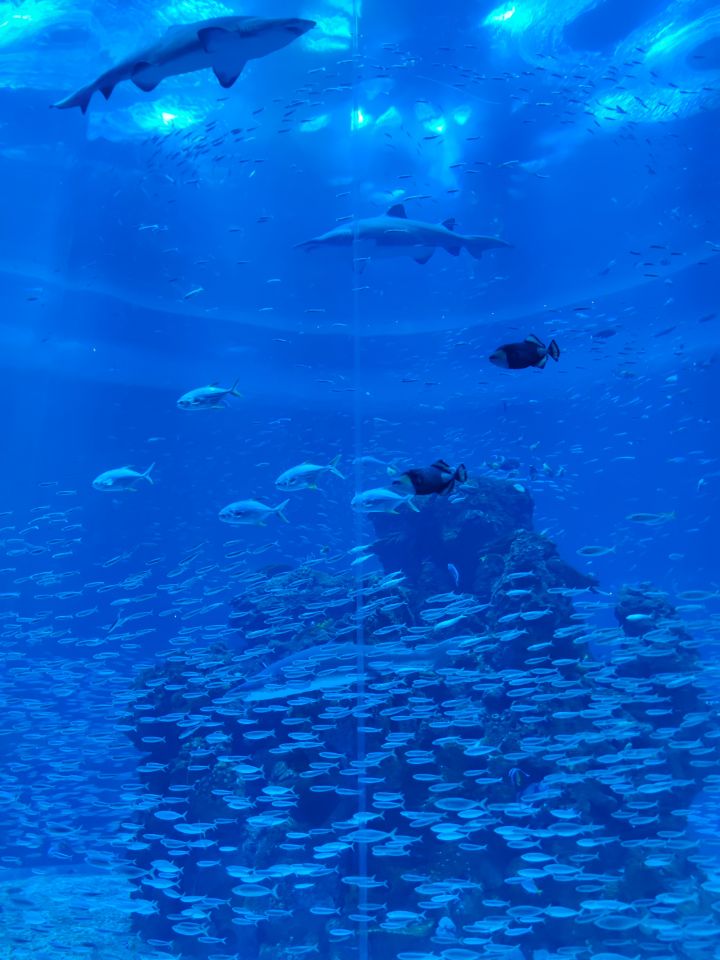 三八节瞎逛的一天