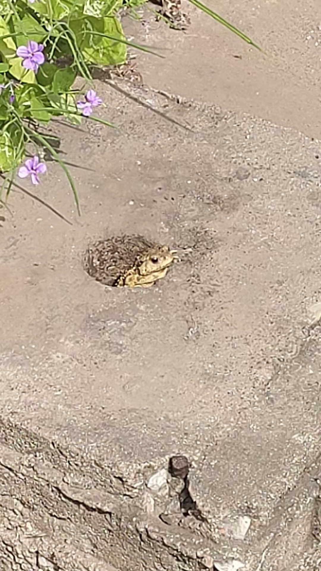 惬意