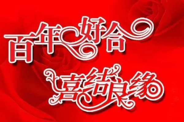 1+洛雪+祝晓战与洛晴新婚快乐