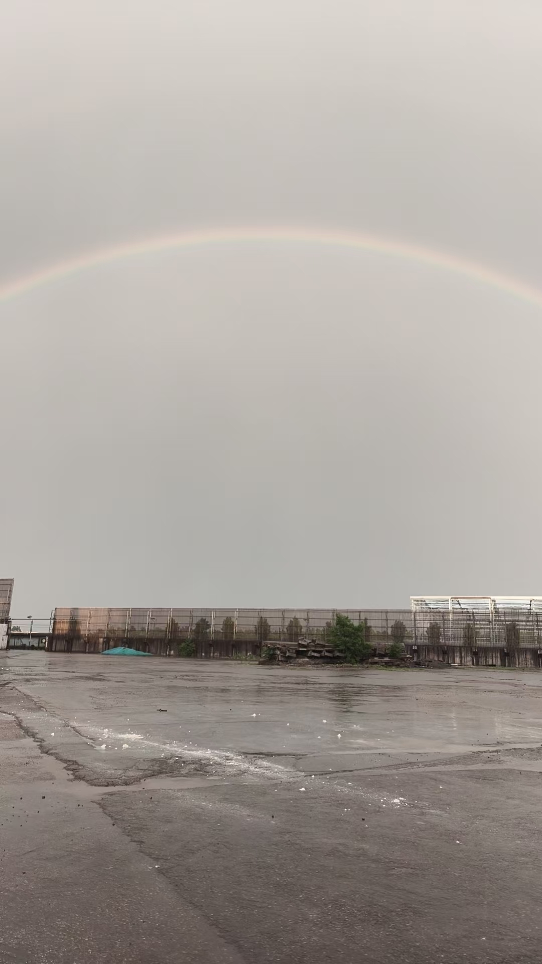 风雨之后